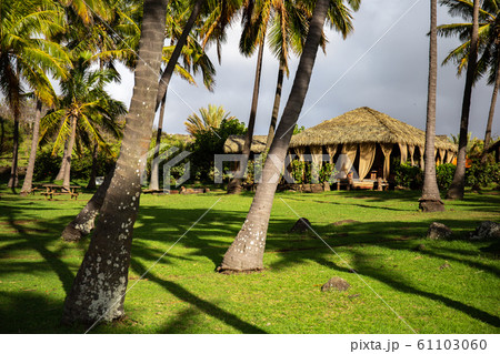 Anakena Baeach Easter Island Rapa Nui Landscape 61103060