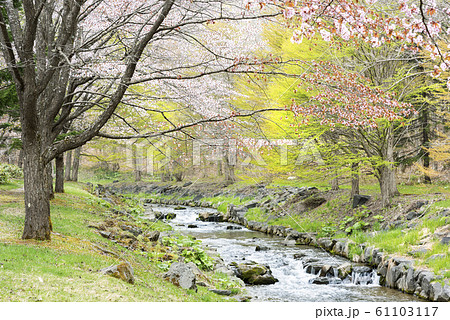 厚別川　滝野すずらん丘陵公園 61103117