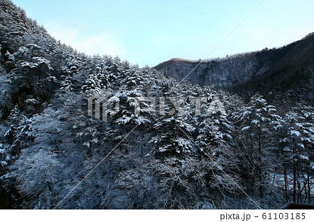 雪景色の朝・平家の隠れ里【湯西川温泉】 61103185