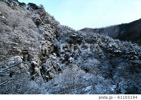 雪景色の朝・平家の隠れ里【湯西川温泉】 雪景色の朝・平家の隠れ里【湯西川温泉】 61103194