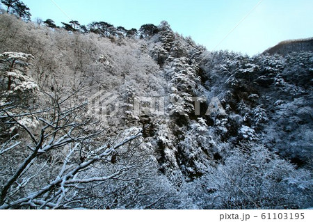 雪景色の朝・平家の隠れ里【湯西川温泉】 雪景色の朝・平家の隠れ里【湯西川温泉】 61103195