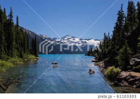 ガリバルディレイク 61103303