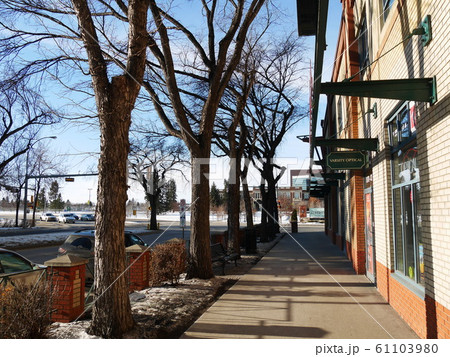 冬のWhyte AvenueとUniversity of Alberta 61103980