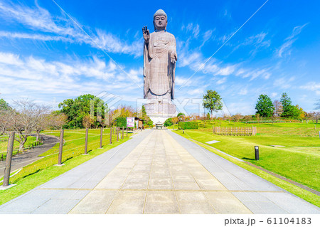 牛久大仏　世界一の大きさの大仏　【茨城県】 61104183