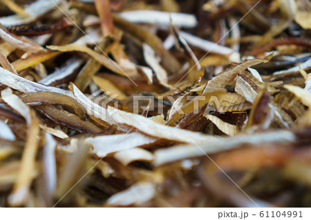Food preservation of fish make it dried by sun Food preservation of fish make it dried by sun 61104991