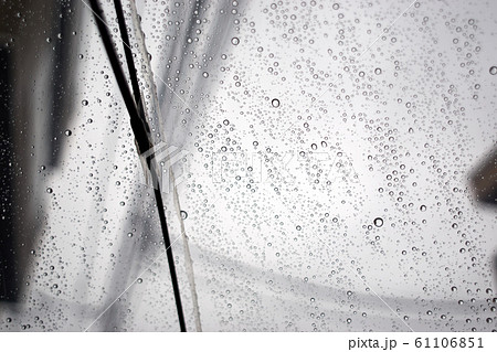 ビニール傘・水滴・表面・雨 ビニール傘・水滴・表面・雨 61106851