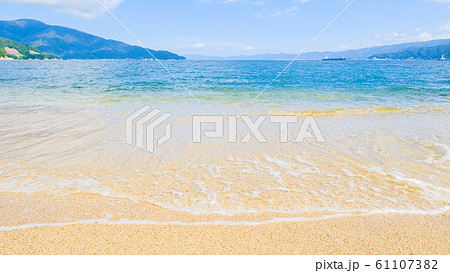 敦賀湾・松原海水浴場 敦賀湾・松原海水浴場 61107382
