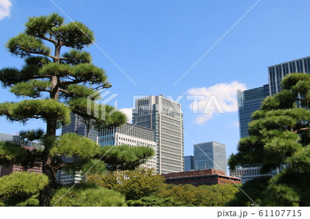 丸の内～最高級のオフィス街と皇居外苑がコラボするまち 61107715