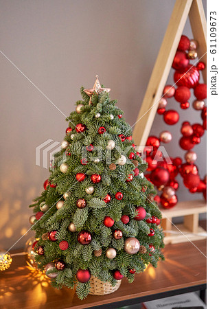Beautiful small Christmas tree on wooden table. Happy mood. Garland lamp bokeh on background. Wallpaper. Danish pine and fir, Nobilis Beautiful small Christmas tree on wooden table. Happy mood. Garland lamp bokeh on background. Wallpaper. Danish pine and fir, Nobilis 61109673