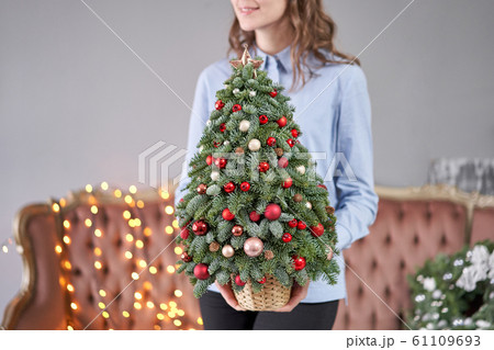 Beautiful small Christmas tree in womans hands. Happy mood. Garland lamp bokeh on background. Wallpaper. Danish pine and fir, Nobilis Beautiful small Christmas tree in womans hands. Happy mood. Garland lamp bokeh on background. Wallpaper. Danish pine and fir, Nobilis 61109693