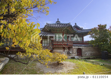 自然 風景 秋 61110054