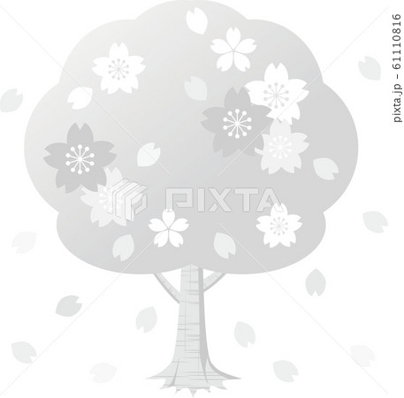 さくら 桜の木 春 お花見 シンプル グレーのイラスト素材