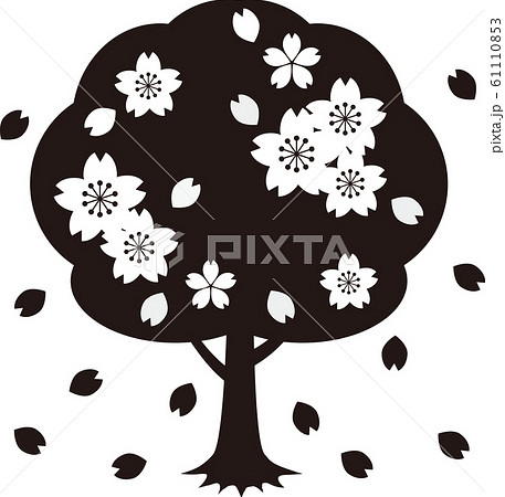 さくら 桜の木 春 お花見 シンプル モノクロ 白黒のイラスト素材 61110853 Pixta