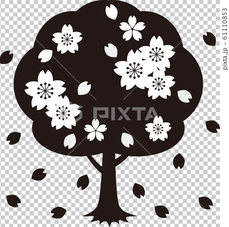 さくら 桜の木 春 お花見 シンプル モノクロ 白黒のイラスト素材