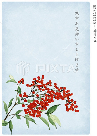 寒中お見舞い ハガキ 南天 水彩画 文字あり 白フチのイラスト素材