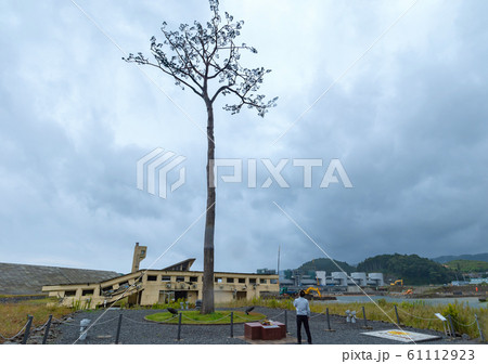 【岩手県陸前高田】高田松原跡地の風景と未来への希望 【岩手県陸前高田】高田松原跡地の風景と未来への希望 61112923