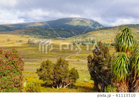 Walking track - Cradle Mountain 61113510