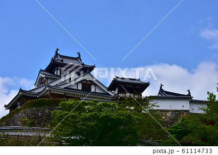 福知山城 61114733