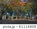 千葉県柏市南部公園 61114808