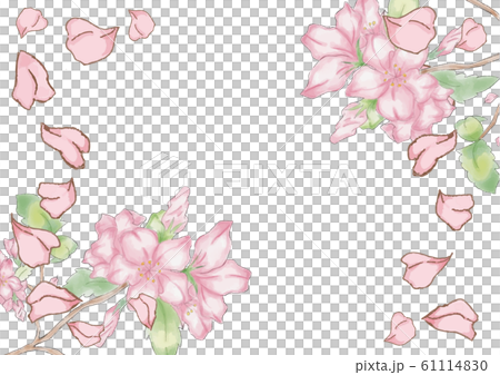 桜　水彩　フレーム 61114830