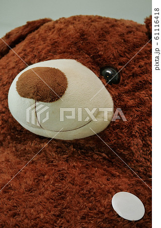 blank white circle brooch pin on big brown teddy bear fluffy cuddly blank white circle brooch pin on big brown teddy bear fluffy cuddly 61116418