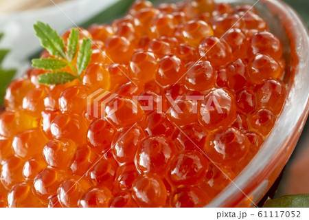 美味しい鮭から作るイクラの醤油漬け 美味しい鮭から作るイクラの醤油漬け 61117052