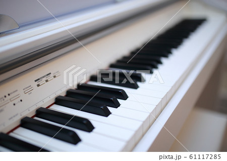 ピアノ 楽器 音楽 (オルガン チェンバロ ハープシコード MIDI シンセサイザー 鍵盤 白黒) ピアノ 楽器 音楽 (オルガン チェンバロ ハープシコード MIDI シンセサイザー 鍵盤 白黒) 61117285