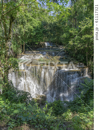Many waterfalls flow in the frame of plants and Many waterfalls flow in the frame of plants and 61117321