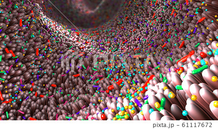 Germs in the human intestines called microbiome 61117672