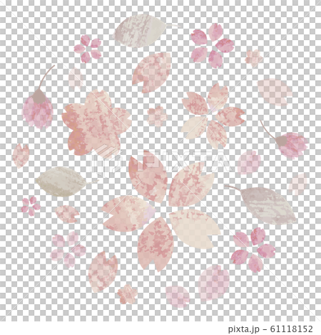 Cherry blossom, leaf cherry set (round type) 61118152