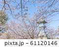 知覧特攻平和会館の桜と灯篭 61120146