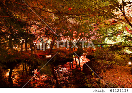 秋保ナイトミュージアム 61121133