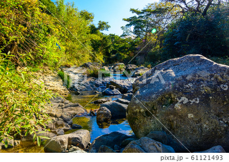 秋の渓流と落葉【福岡県】 61121493