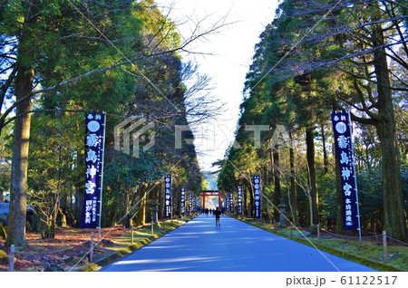 霧島神宮 参道 霧島神宮 参道 61122517