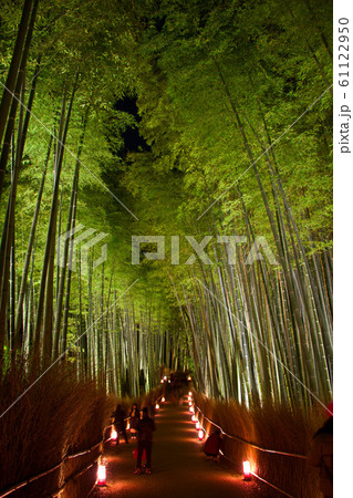 嵐山花灯路2019 嵐山花灯路2019 61122950