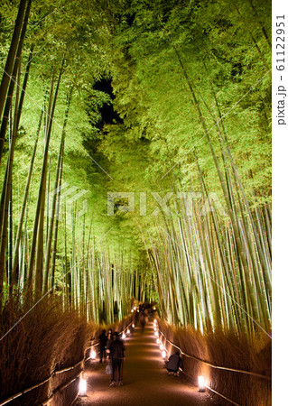 嵐山花灯路2019 61122951