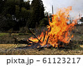 どんど焼き 61123217