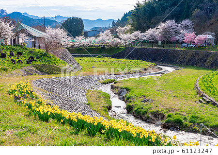 本郷の桜 奈良大宇陀 本郷の桜 奈良大宇陀 61123247