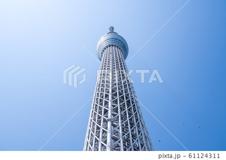 Tokyo skytree tower, 晴空塔,天空樹, skyline, 東京,日本 61124311