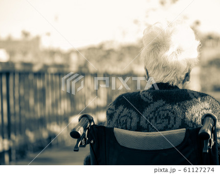 Picture of lonely old woman sitting on the wheelchair while looking at sunlight. 61127274