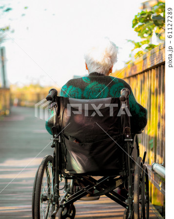Picture of lonely old woman sitting on the wheelchair while looking at sunlight. 61127289