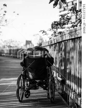 Picture of lonely old woman sitting on the wheelchair while looking at sunlight. 61127291