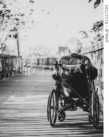 Picture of lonely old woman sitting on the wheelchair while looking at sunlight. 61127293