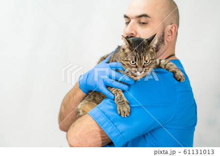 Male veterinarian hold angry cat on his shoulder. 61131013
