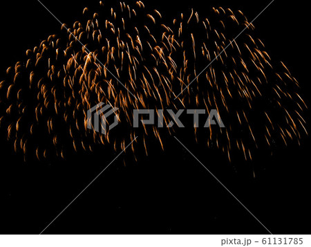 Colorful firework in night sky 61131785