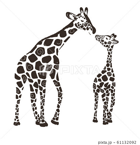 Two Cute Giraffes Isolated On A White Background のイラスト素材 61132092 Pixta