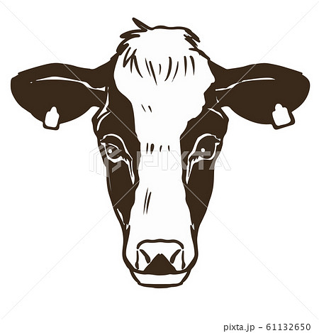 ホルスタイン 牛の顔 丑の頭部のイラストのイラスト素材