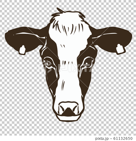 ホルスタイン 牛の顔 丑の頭部のイラストのイラスト素材 61132650 Pixta