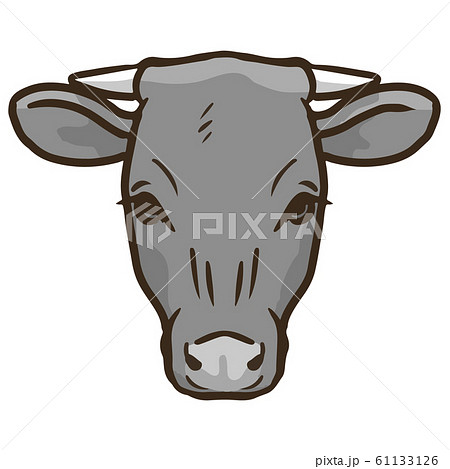 黒牛の顔のイラストのイラスト素材