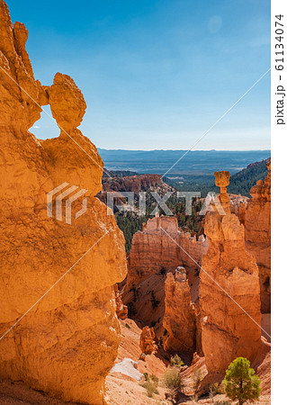 Bryce Canyon Bryce Canyon 61134074
